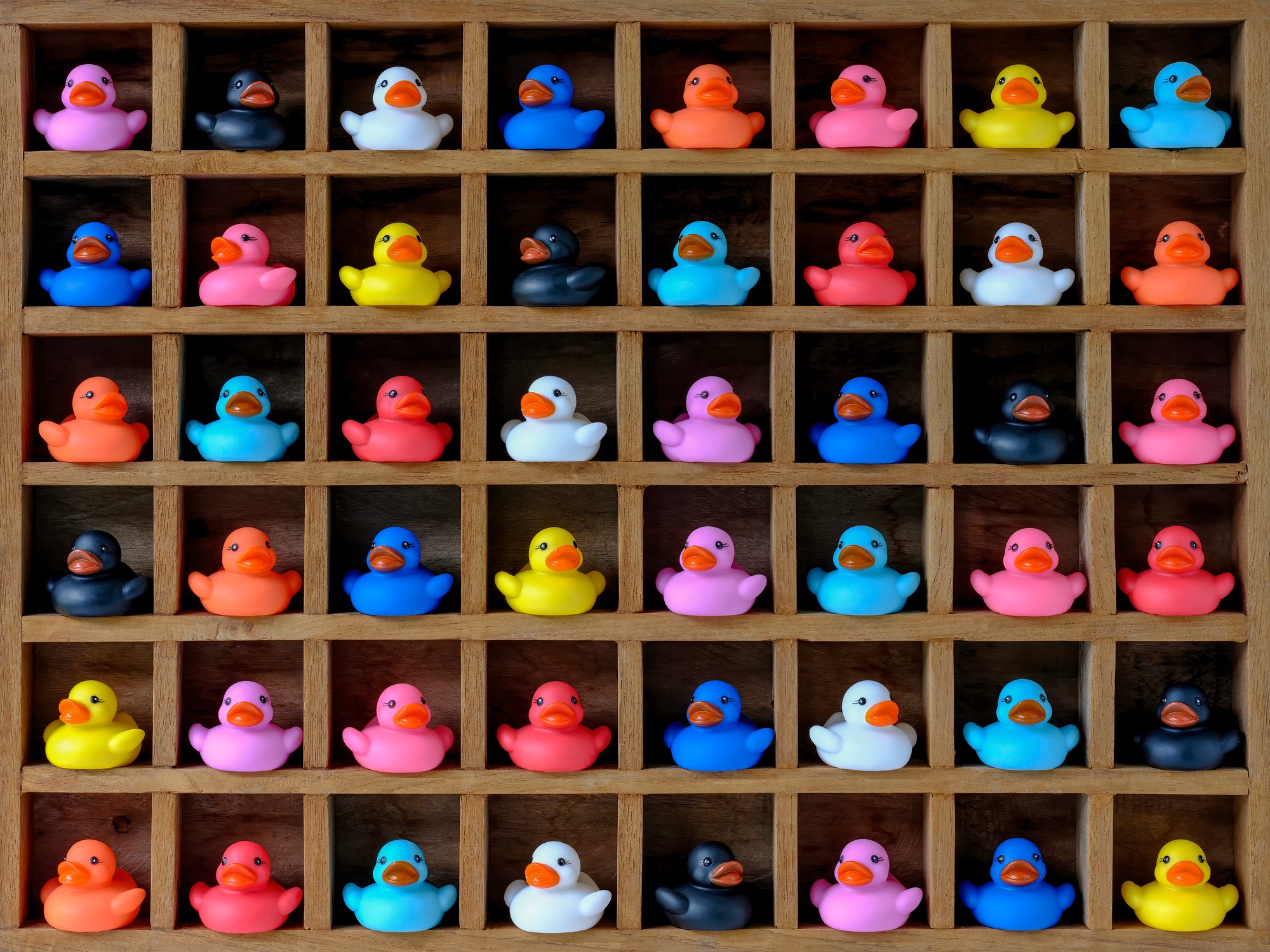 Colorful rubber ducks arranged in a wooden grid display.