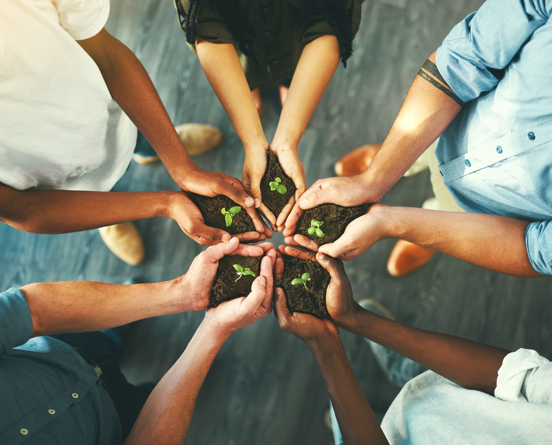 Diverse team holding soil with small green seedlings in their hands, symbolizing sustainable skill development and eco-conscious training programs